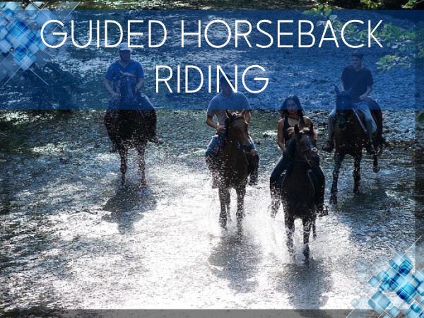 Go Funway btnGuidedHorse