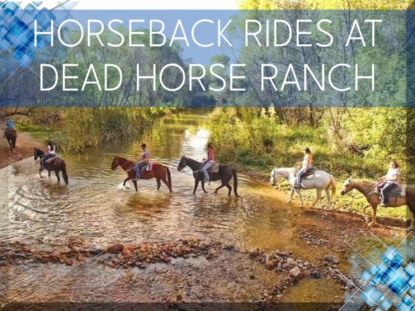 Go Funway btnHorseDeadHorse
