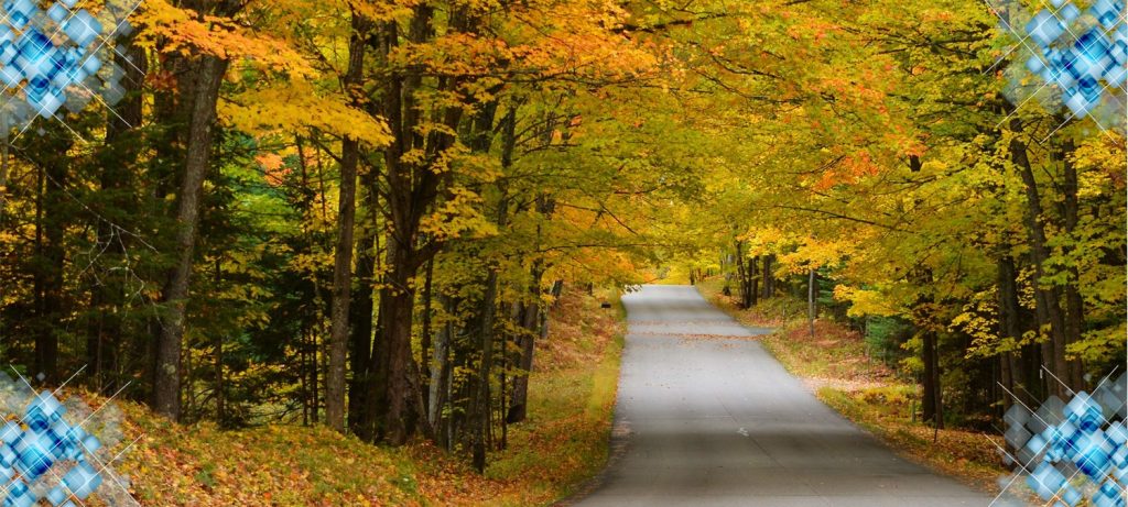 Go Funway headerFallFoliage Packages